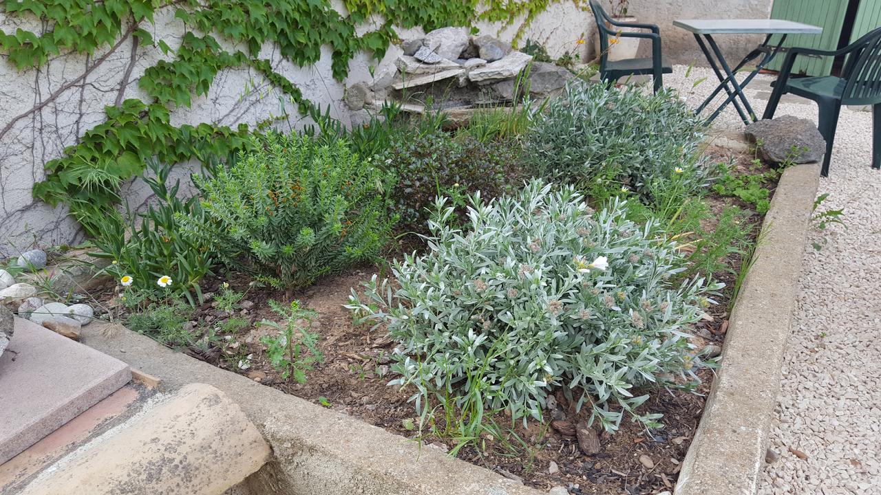 Aux Oliviers Homps (Aude) Exterior foto