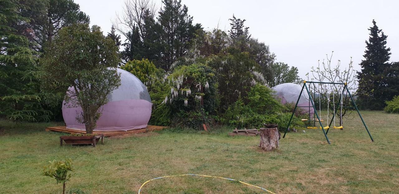 Aux Oliviers Homps (Aude) Exterior foto