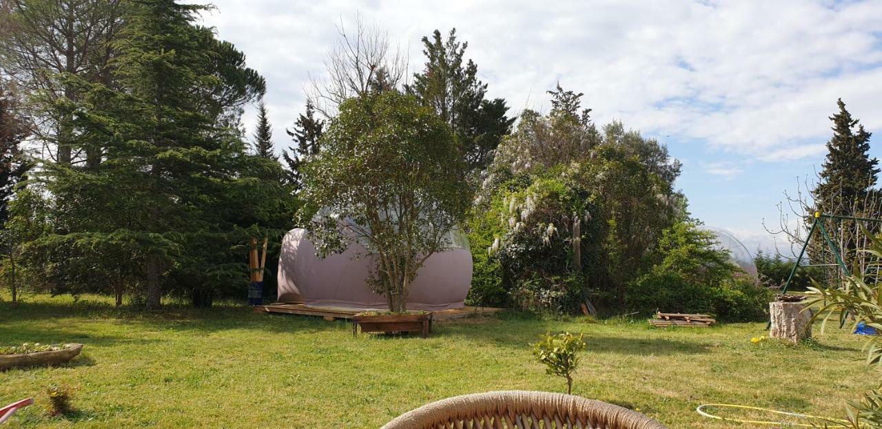 Aux Oliviers Homps (Aude) Exterior foto