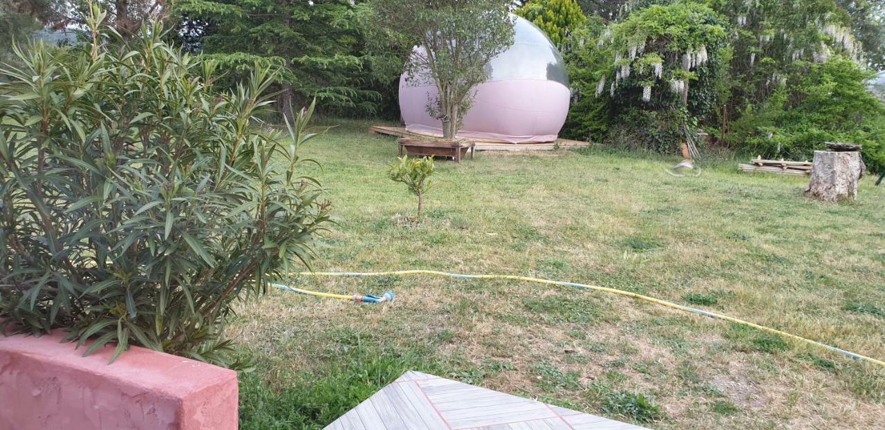 Aux Oliviers Homps (Aude) Exterior foto